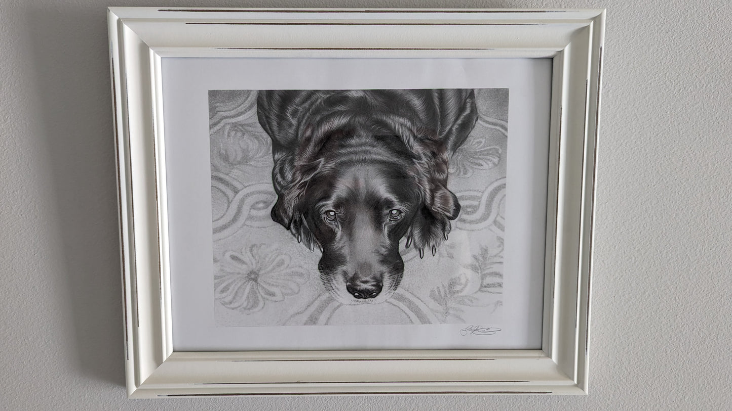 Original Hand Drawn Black Labrador